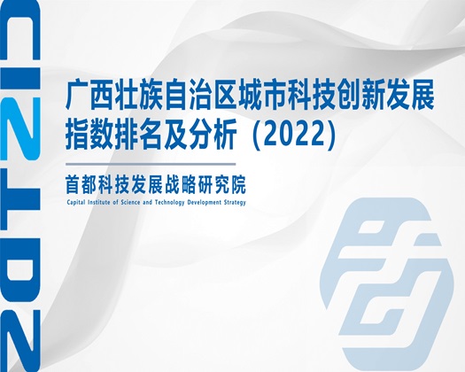 看视频操逼【成果发布】广西壮族自治区城市科技创新发展指数排名及分析（2022）